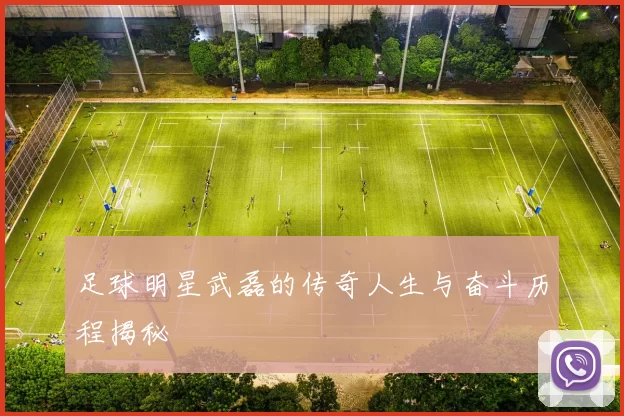 足球明星武磊的传奇人生与奋斗历程揭秘