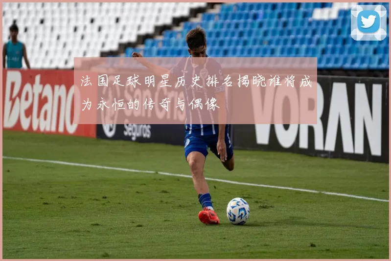 法国足球明星历史排名揭晓谁将成为永恒的传奇与偶像