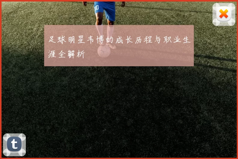 足球明星韦博的成长历程与职业生涯全解析