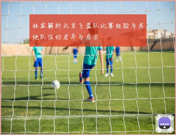 独家解析北京飞盘队比赛经验与其他队伍的差异与启示