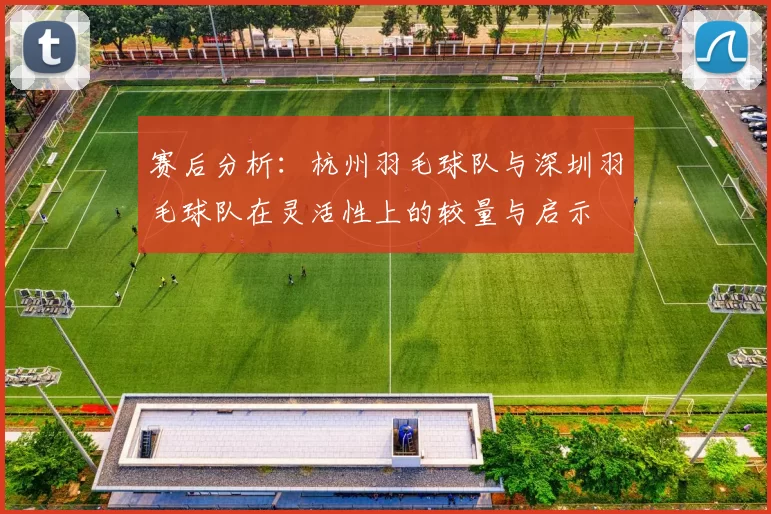 赛后分析：杭州羽毛球队与深圳羽毛球队在灵活性上的较量与启示