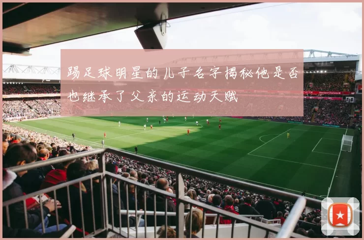 踢足球明星的儿子名字揭秘他是否也继承了父亲的运动天赋