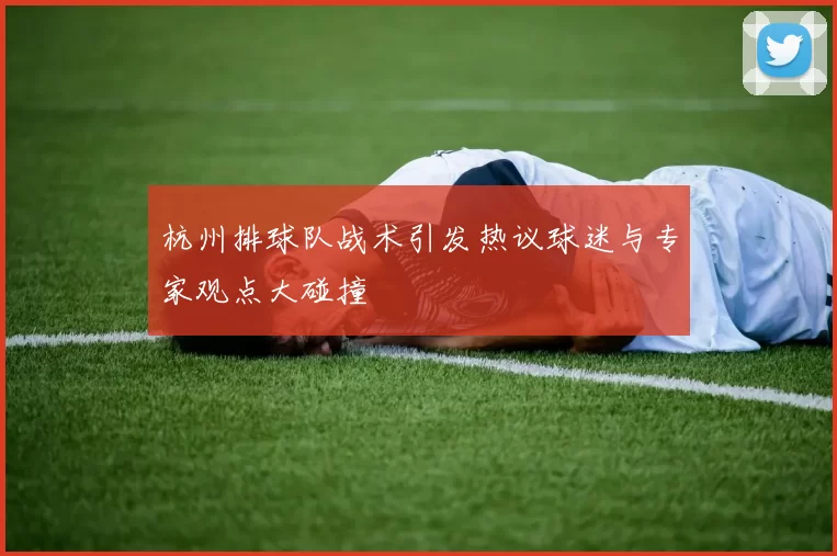 杭州排球队战术引发热议球迷与专家观点大碰撞