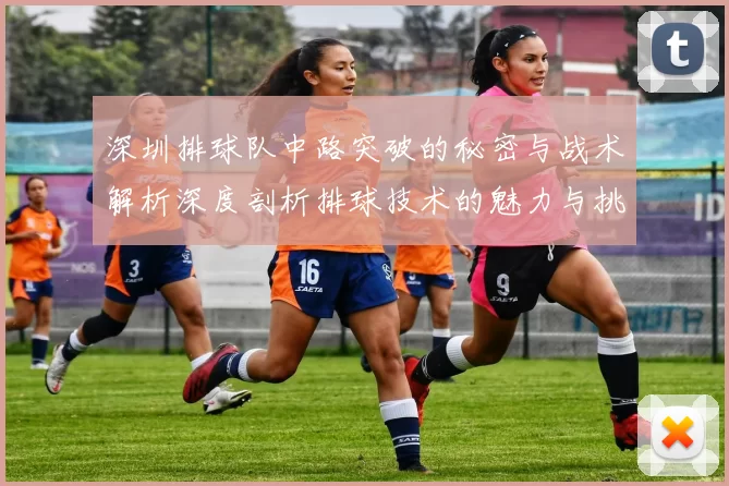 深圳排球队中路突破的秘密与战术解析深度剖析排球技术的魅力与挑战