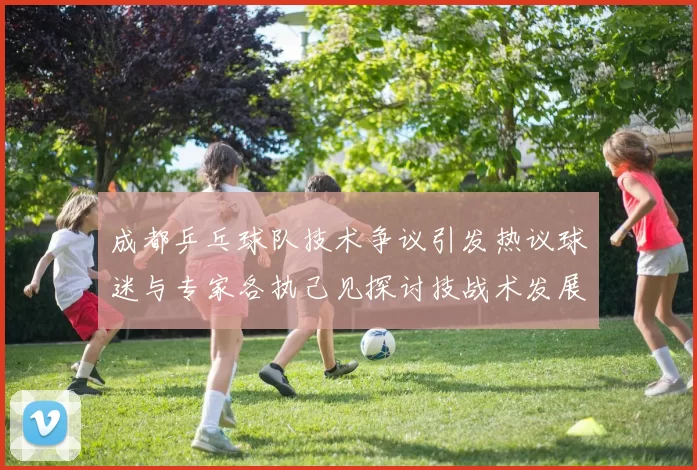 成都乒乓球队技术争议引发热议球迷与专家各执己见探讨技战术发展