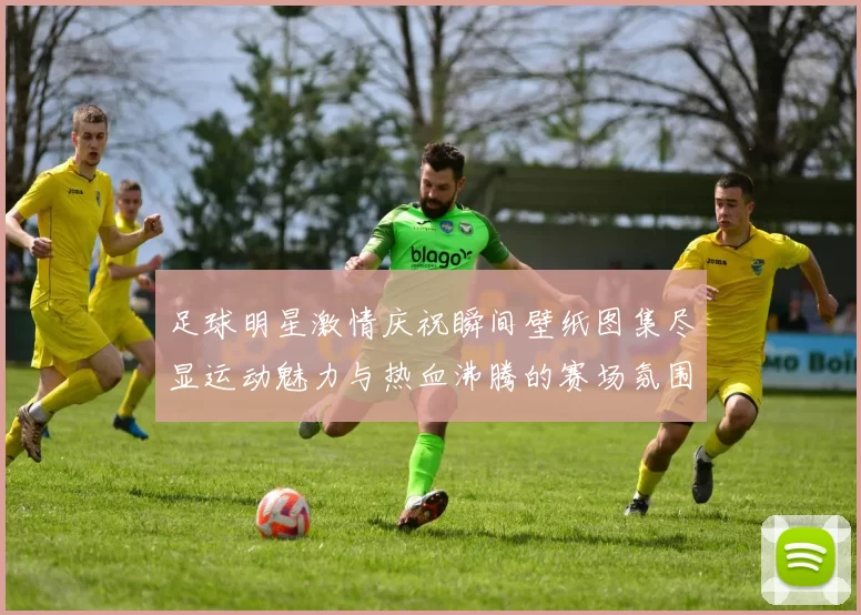 足球明星激情庆祝瞬间壁纸图集尽显运动魅力与热血沸腾的赛场氛围