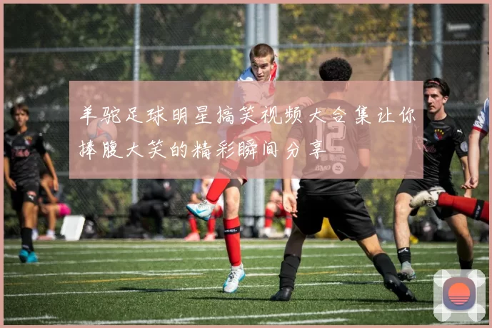 羊驼足球明星搞笑视频大合集让你捧腹大笑的精彩瞬间分享