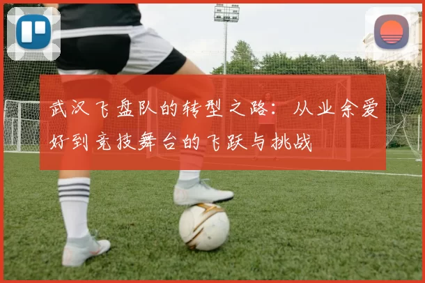武汉飞盘队的转型之路：从业余爱好到竞技舞台的飞跃与挑战