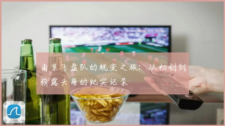 南京飞盘队的蜕变之旅：从初创到崭露头角的纪实记录