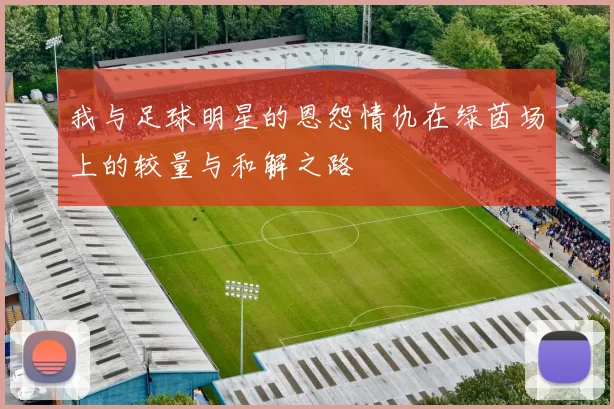 我与足球明星的恩怨情仇在绿茵场上的较量与和解之路