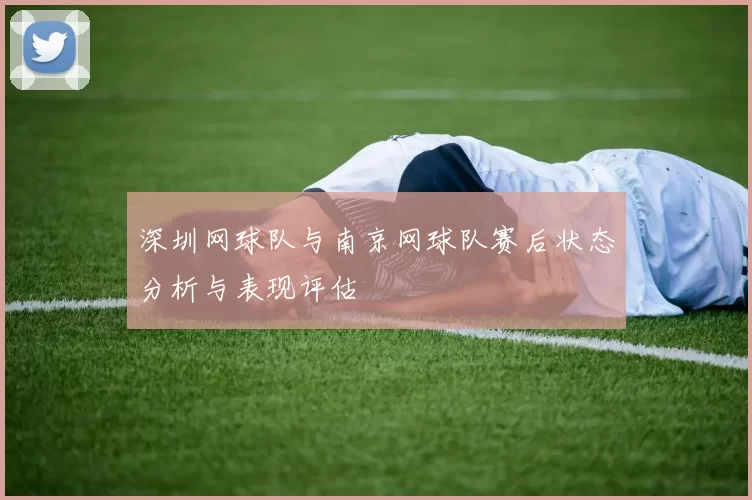 深圳网球队与南京网球队赛后状态分析与表现评估