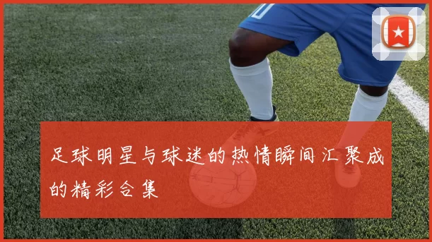 足球明星与球迷的热情瞬间汇聚成的精彩合集
