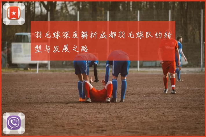 羽毛球深度解析成都羽毛球队的转型与发展之路