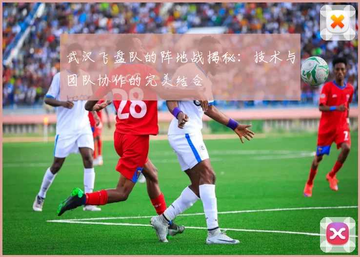 武汉飞盘队的阵地战揭秘：技术与团队协作的完美结合