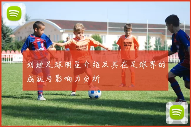 刘姓足球明星介绍及其在足球界的成就与影响力分析