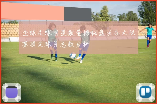 全球足球明星数量揭秘盘点各大联赛顶尖球员总数分析