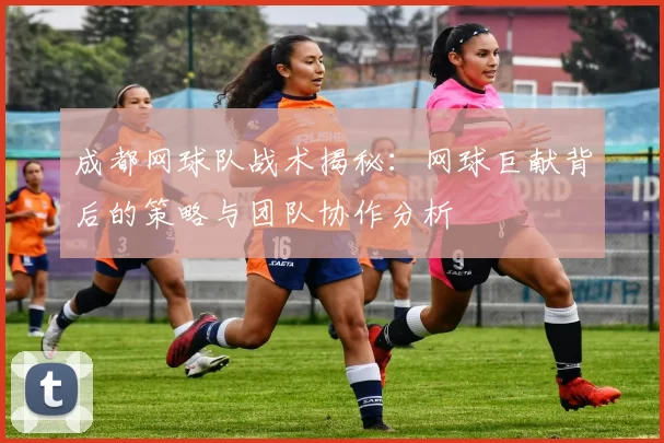 成都网球队战术揭秘：网球巨献背后的策略与团队协作分析