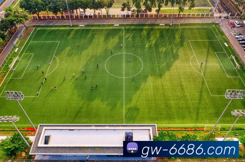 App Interface Preview