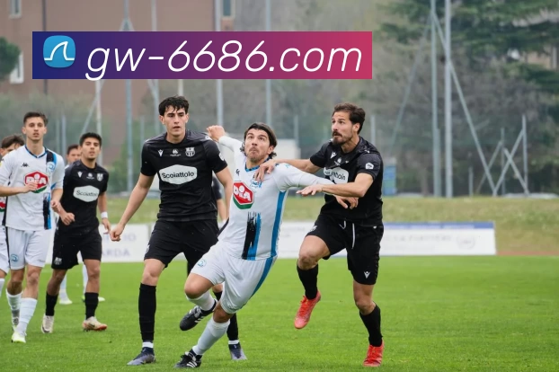 8868体育APP 封面图